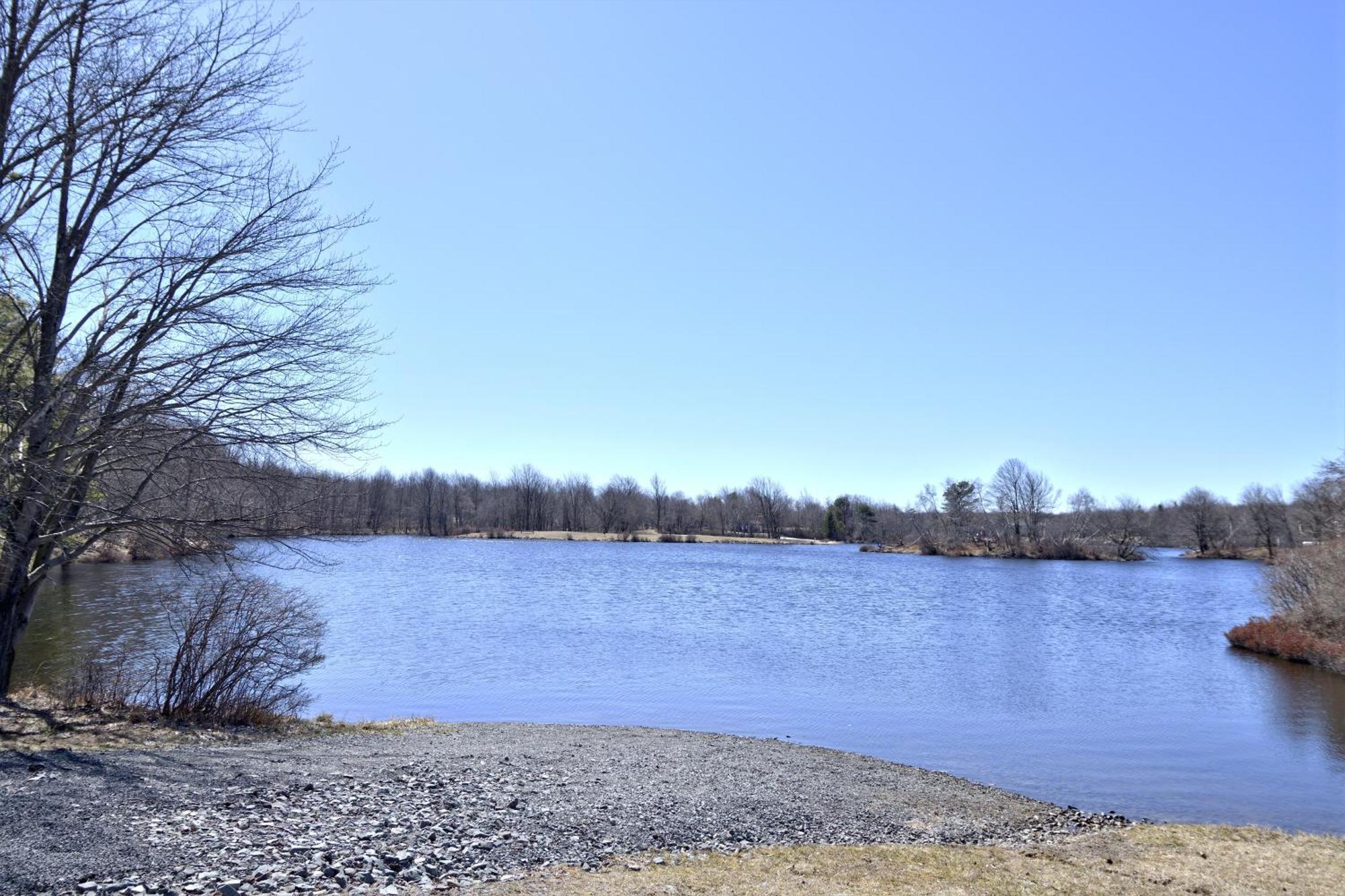 Lakehouse *Hottub*Jacuzzi*Firepit*Bbq*Pool Long Pond 外观 照片